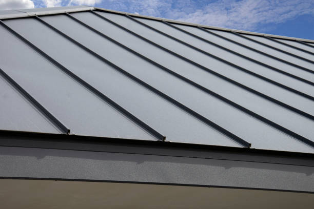 Best Skylight Installation and Repair  in Santa Maria, CA